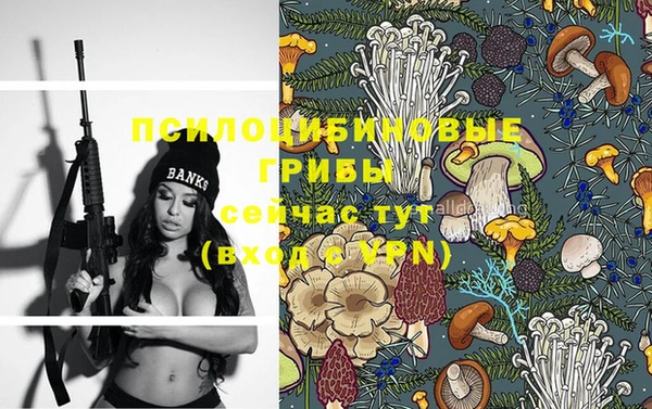 стафф Абинск