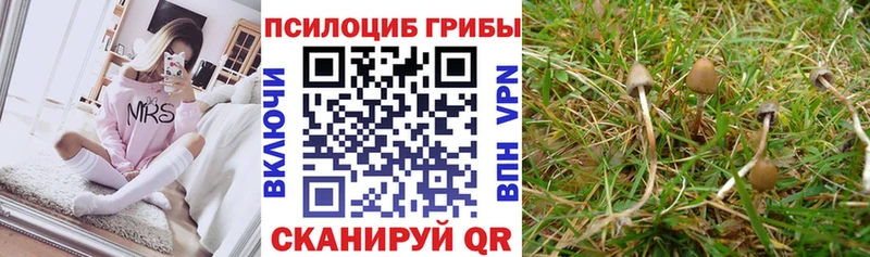 Галлюциногенные грибы Magic Shrooms  наркошоп  Алагир 