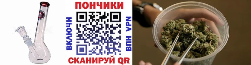 Шишки марихуана конопля  Алагир 